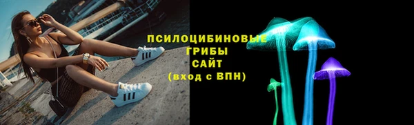 спайс Алексин