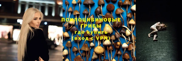 2c-b Алексеевка