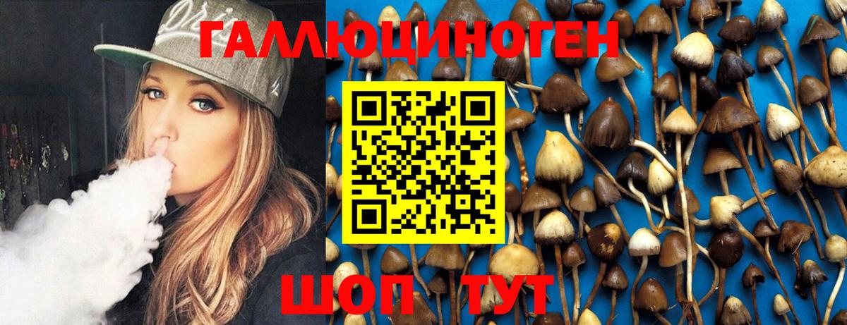 Псилоцибиновые грибы Psilocybe Троицк