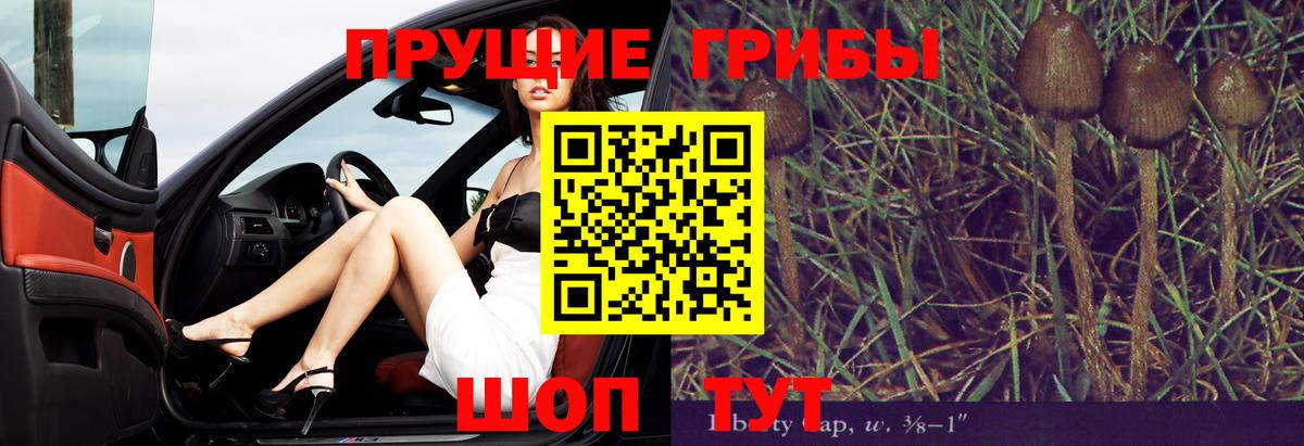 где можно купить   Галлюциногенные грибы Cubensis  Вход с VPN  Троицк 