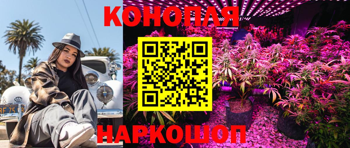 Марихуана план Троицк